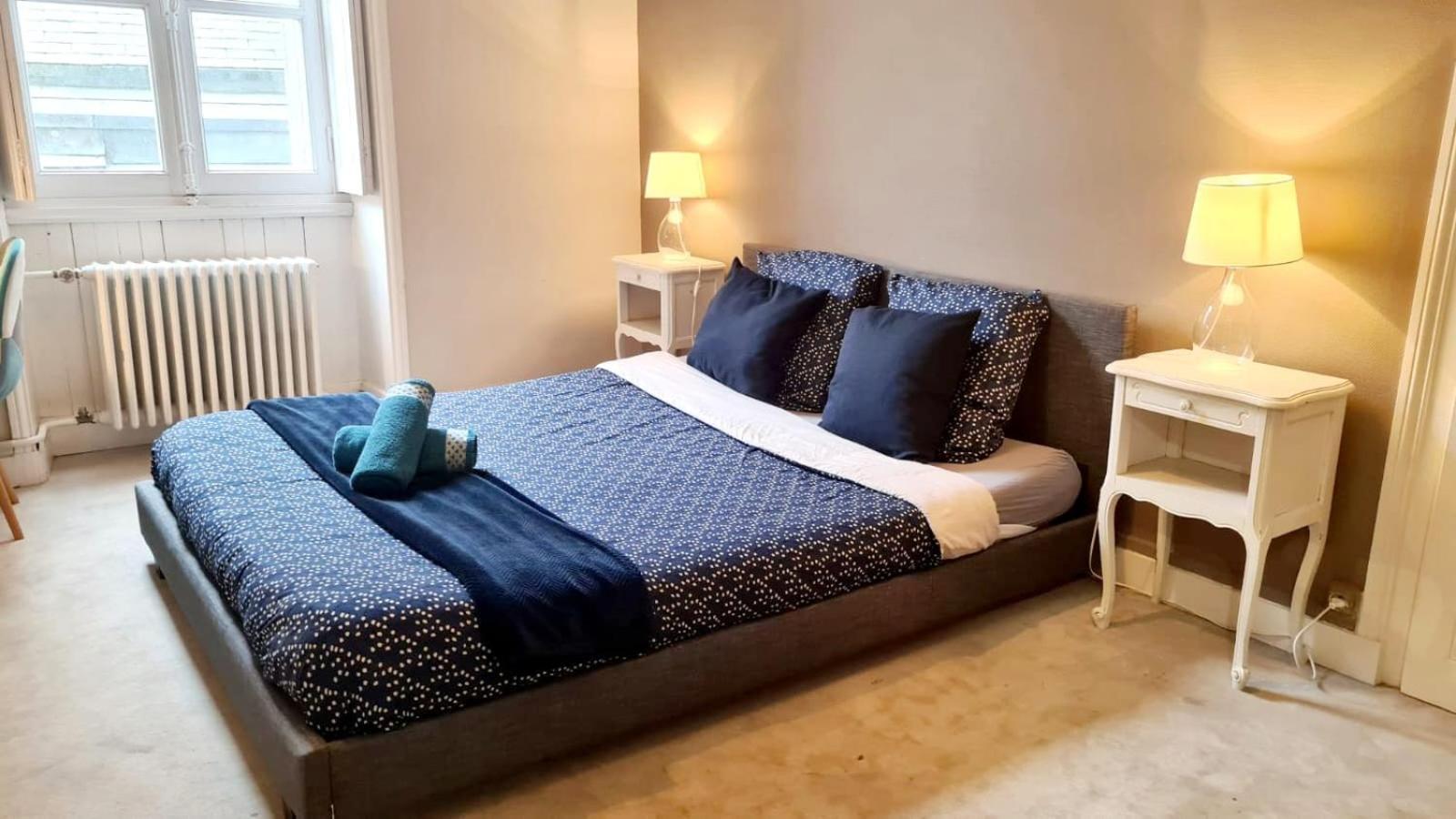 L'Haussmannien - Hyper Centre - Bords De L'Erdre Apartment น็องต์ ภายนอก รูปภาพ